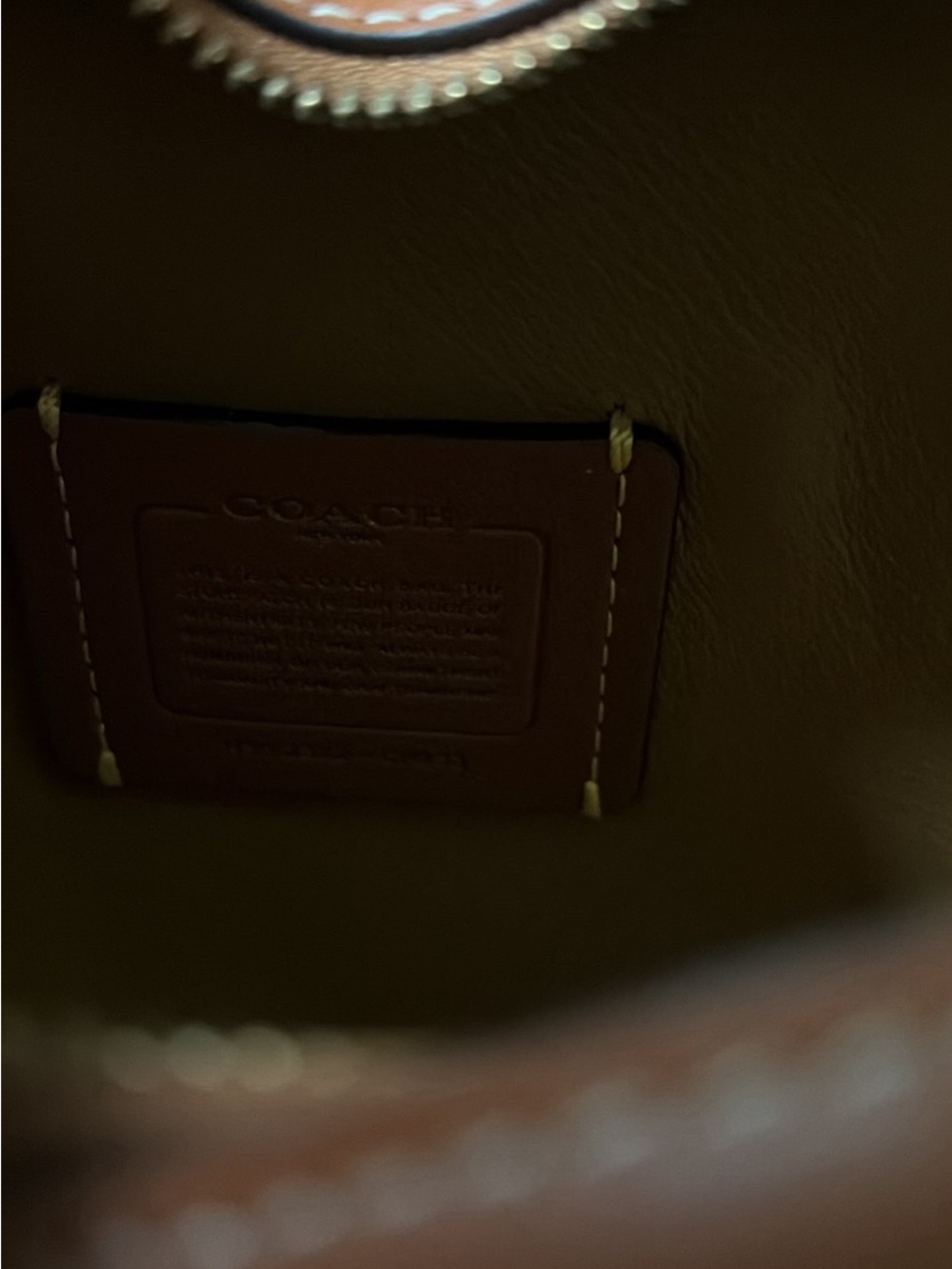 Coach Heart-Shaped Crossbody Bag in Tan - Picture 5 of 6